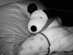 Stuffed Animal Photos of Sleeping Plush Toy Snoopy Dogs