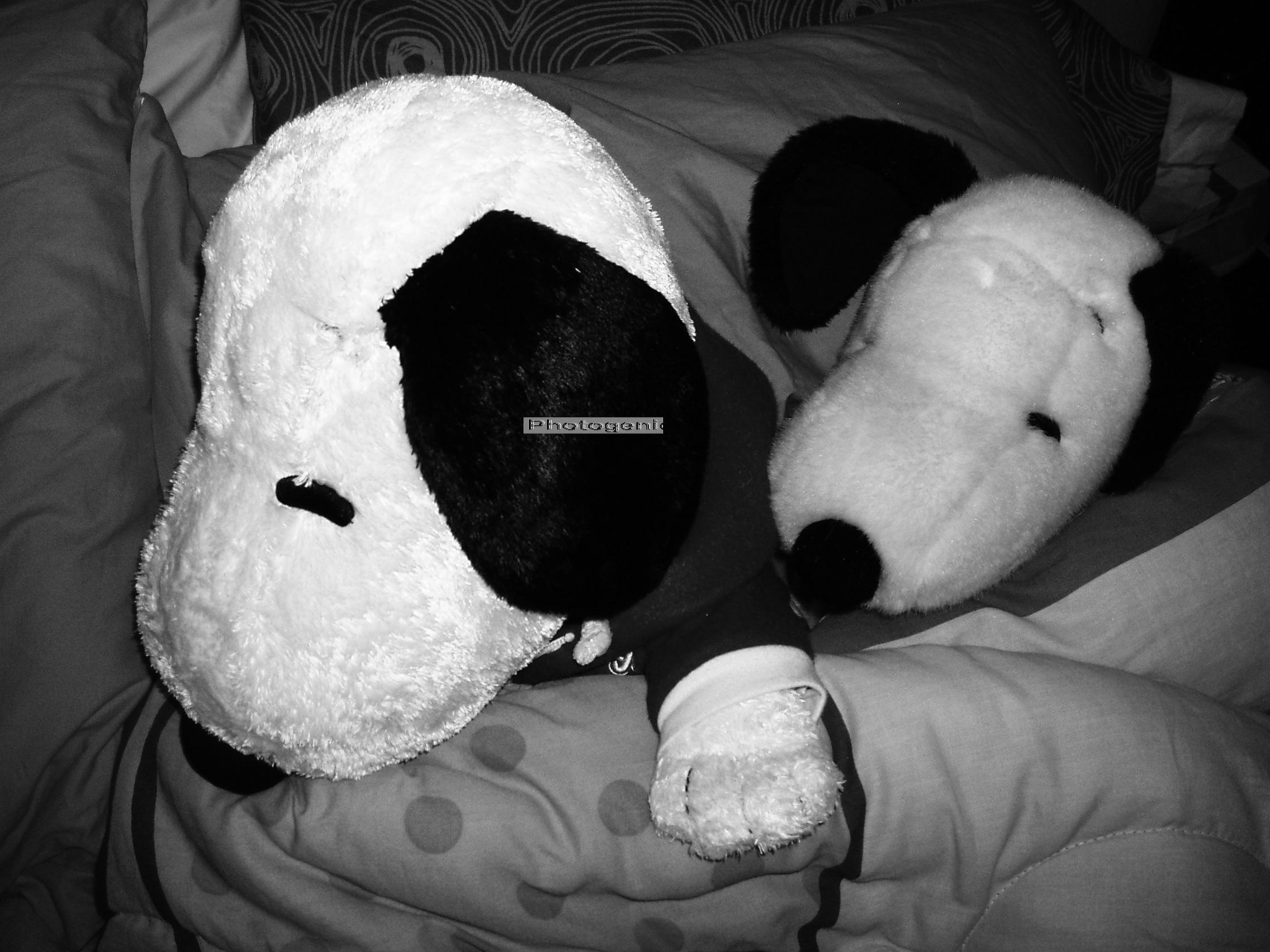 Photo of Two Sleeping Snoopy Plush Toy Stuffed Animals