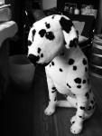 Stuffed Animal Photos of Petie the Realistic Toy Dalmation